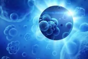 Световен ден за борба с рака