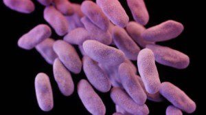 Учени откриха как резистентните бактерии се пазят от антибиотиците