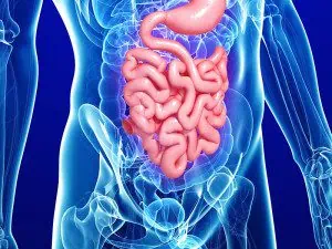 Публикуваха новото фармакотерапевтично ръководство за гастроентерологични заболявания