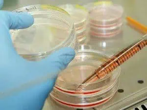 Лекари изумени - две лекарства унищожават рака на гърдата за 11 дни