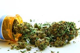 Национални консултанти са против използването на марихуаната за медицински цели