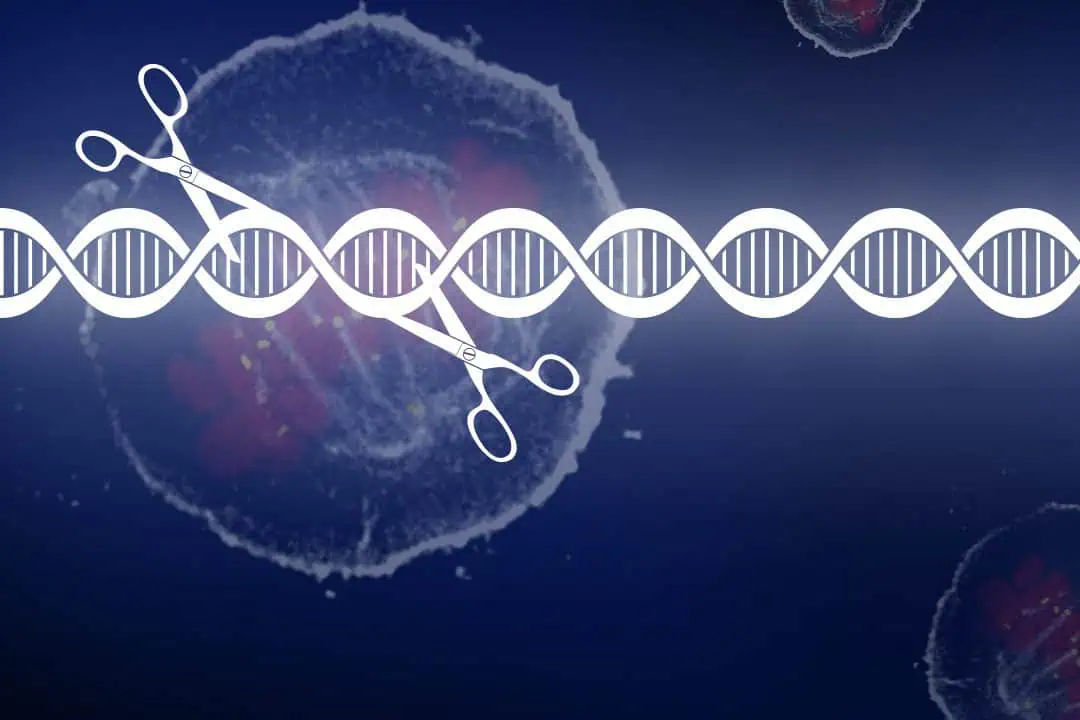 Направи си сам ДНК - по твой избор Направи си сам ДНК - по твой избор