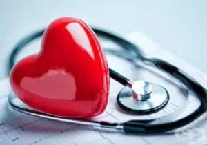 1500 души ще се възползват от безплатна консултация за предсърдно мъждене