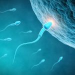 Д-р Явор Владимиров: Все повече мъже обръщат внимание на репродуктивното си здраве