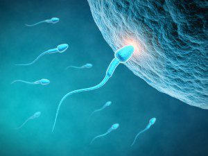 Д-р Явор Владимиров: Все повече мъже обръщат внимание на репродуктивното си здраве
