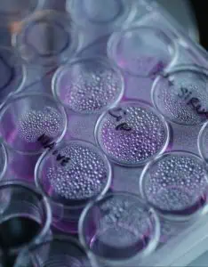 генетично изследване