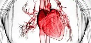 Безплатни прегледи за пациенти с прекаран миокарден инфаркт през август в УМБАЛ „Александровска”