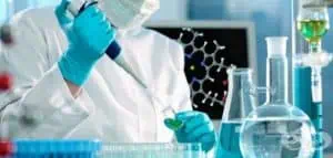 Руски учени откриха начин да извличат противоракови вещества от семената на магданоза  Още за Руски учени откриха начин да извличат противоракови вещества от семената на магданоза