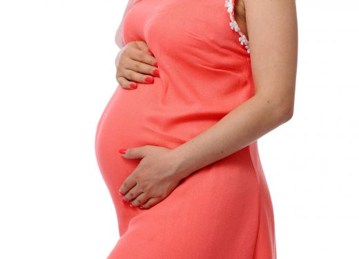 Наистина ли е опасен за бременните вирусът Зика?