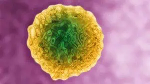 Безплатно и анонимно изследване и консултиране за хепатит С в София