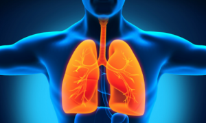 Изследват безплатно здравето на белите дробове