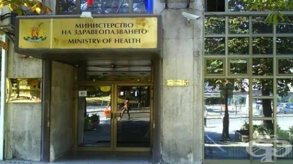 стволови клетки стволови клетки