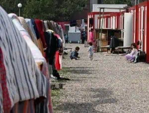 За шест случая на малария в Харманли съобщават от Центъра по заразни и паразитни болести