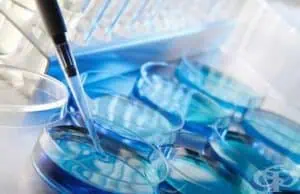 Великобритания разреши зачеването на бебета с ДНК от трима родители