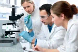 Нов ефективен метод за лечение на рака на простатата в начален стадий разработиха хирурзи Още за Нов ефективен метод за лечение на рака на простатата в начален стадий разработиха хирурзи