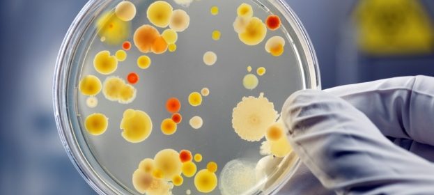Супербактерии заплашват здравето на хора и животни в ЕС