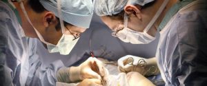 ВМА отбелязва 10 години от първата трансплантация
