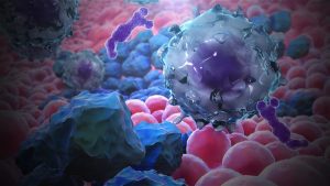 Тестват нови лекарства върху 3D тумори