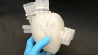 Изследователи използват 3D-принтер за създаването на изкуствено сърце