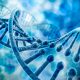 ДНК „излекува” човешки ембрион