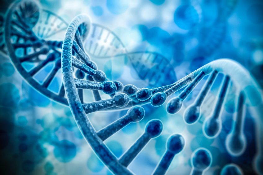 ДНК „излекува” човешки ембрион
