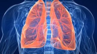Безплатни изследвания на дишането и обема на белите дробове в Александровска