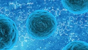 Недостигът на витамин А уврежда стволовите клетки