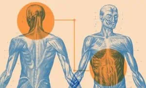 Мистериите на връзката между мозъка и червата