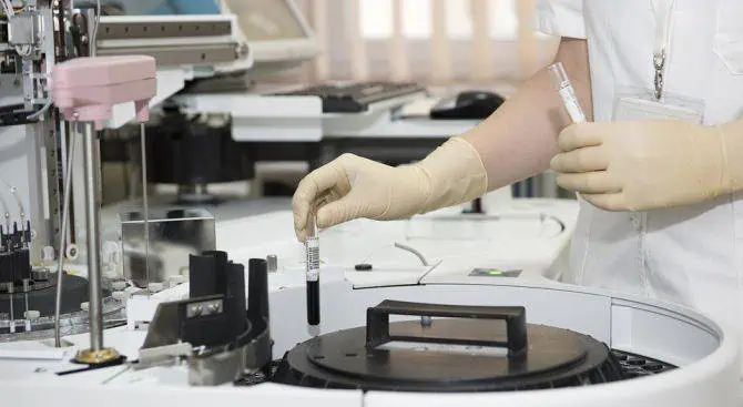 Български и чужди учени работят по модел, свързан със сложни ДНК увреждания