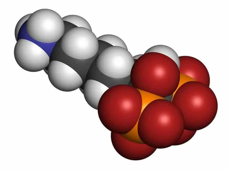 Болест на Пейджет /Paget’s disease