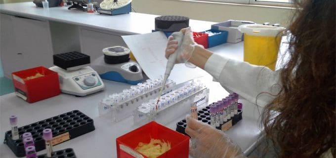 Биотехнологиите в помощ на медицината
