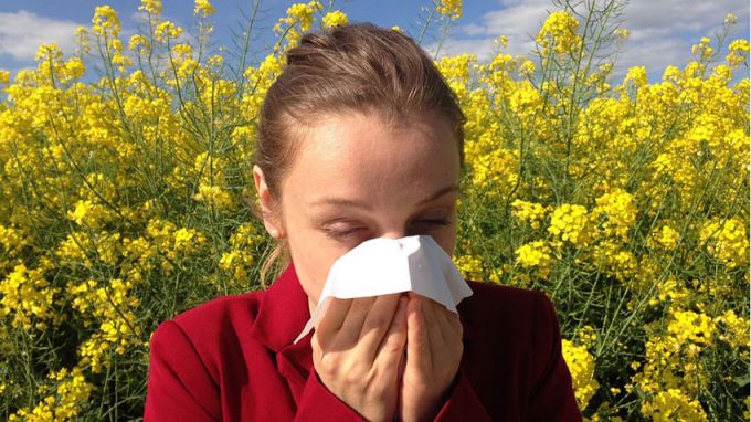 Проф. Тодор Попов: Задухът при алергиите е различен от този при коронавирус