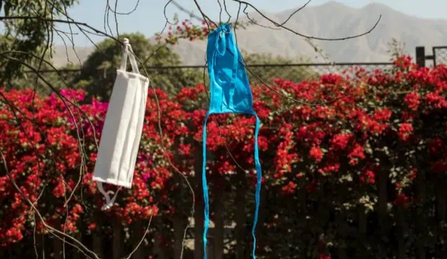 Психолог: Най-важният урок от кризата е да забавим ритъма Психолог: Най-важният урок от кризата е да забавим ритъма