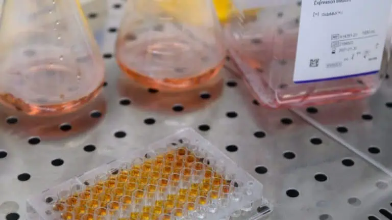 Американска фирма: Антителата STI-1499 защитават от новия коронавирус 100%