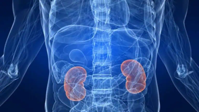 Развитието на бъбречни увреждания в резултат на Covid-19 е по-бързо и по-лесно
