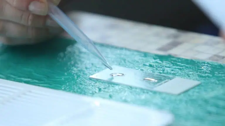 Ръководен от българин US екип работи върху обещаваща терапия срещу Covid-19