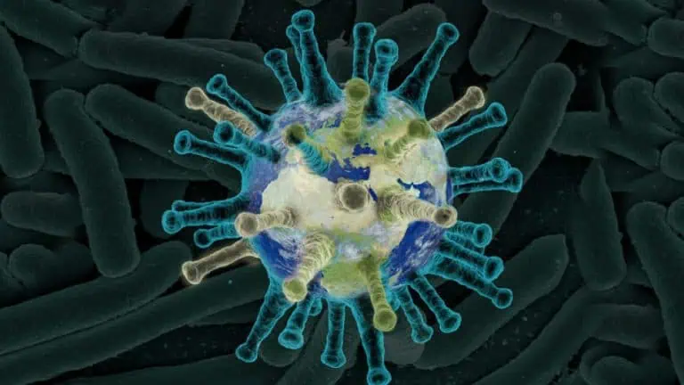 Проф. Румен Константинов