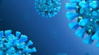 Учени: Мутациите не влияят на способността на коронавируса да се разпространява по-бързо