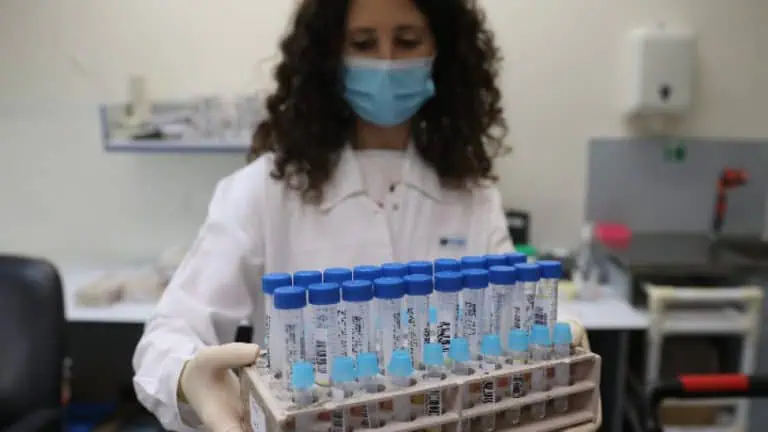 PCR направления