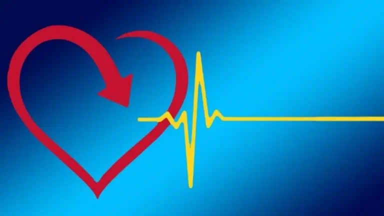 сърдечно-съдовата система