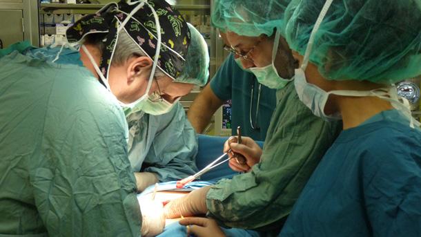скандалът с трансплантациите