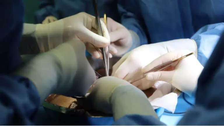 рансплантиране на чуждестранни граждани