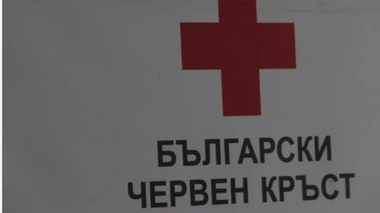 телегрижи за самотни хора