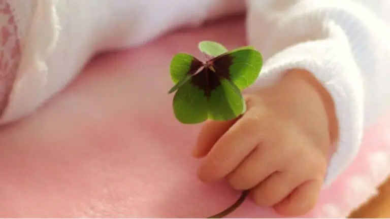 Родители навреме